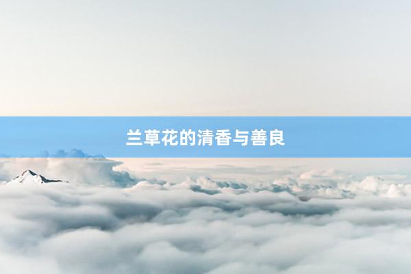 兰草花的清香与善良
