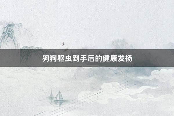 狗狗驱虫到手后的健康发扬
