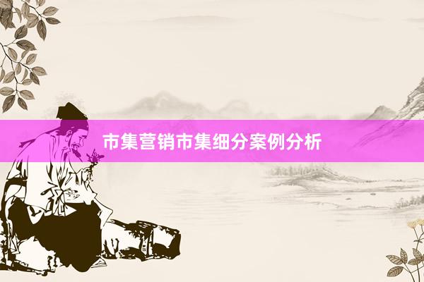 市集营销市集细分案例分析
