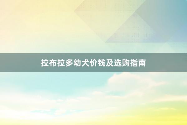 拉布拉多幼犬价钱及选购指南